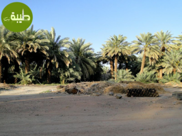 Garden of Healing Sand View on Map